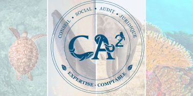 CA2 devient CA2% : voici les explications.