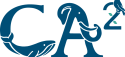 Logo ca2%